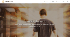 Desktop Screenshot of panel-brite.com